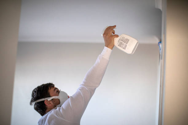 Best Attic Mold Removal  in Lmar, DE